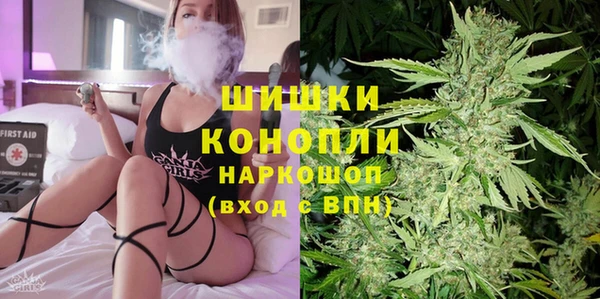 PSILOCYBIN Алзамай