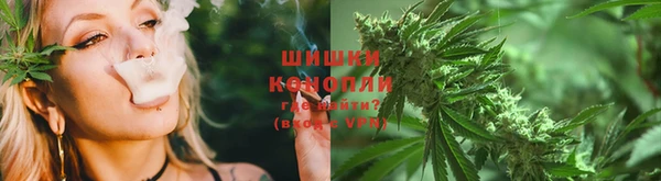 PSILOCYBIN Алзамай