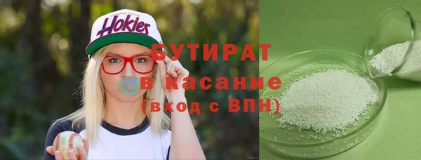 PSILOCYBIN Алзамай