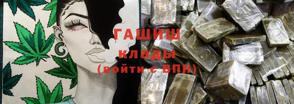 PSILOCYBIN Алзамай