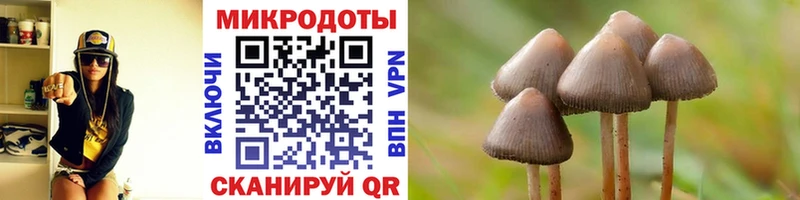 kraken ссылки  Выкса  Галлюциногенные грибы прущие грибы  сколько стоит 